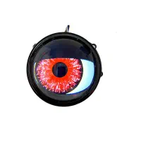 انواع لنز خودرو چراغ جلو و پرژکتور|قطعات یدکی و لوازم جانبی|شیراز, اصلاحنژاد|دیوار