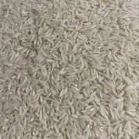 برنج هاشمی  آستانه گیلان