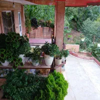 اجاره ویلا با ویو عالی در روستای گردشگری چورت|اجارهٔ کوتاه‌مدت ویلا و باغ|کیاسر, |دیوار