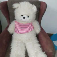 تعدادی خرس و عروسک