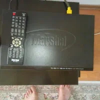 دی وی دی