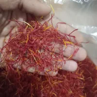 زعفران سرگل پوشالی امسالی