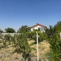 ویلا باغ۱۱۰۰متری/کوچه اختصاصی/اول طسمالو/لوکس