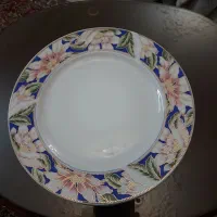بشقاب پلوخوری چینی مقصود ۱۲ عدد