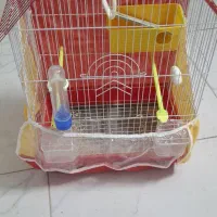 قفس فانتزی نو