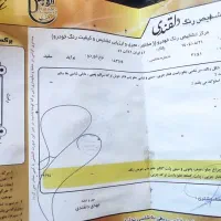 پراید99|خودرو سواری و وانت|سبزوار, شرق کال عیدگاه|دیوار