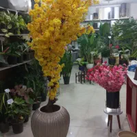 درختچه شکوفه|گل مصنوعی|گرگان, |دیوار