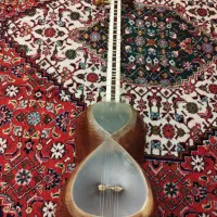 تار ایرانی استاد حسین نژاد (طایر)