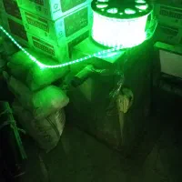 ریسه شیلنگی سبز فقط رنگش سبزه