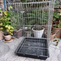 قفس ده۳۳مناسب انواع پرنده