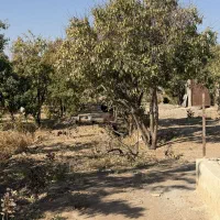 2000متر باغ ویلا سند دار|فروش زمین و ملک کلنگی|زرندیه, |دیوار