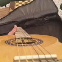 گیتار|گیتار، بیس، امپلیفایر|سیرجان, |دیوار