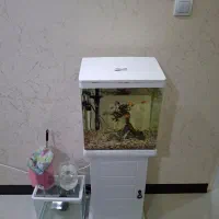 اکواریوم دلسا مدل k390 و اکواریوم کوچیک|ماهی|اهواز, کمپلو شمالی|دیوار