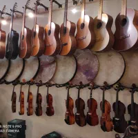 نمایندگی دف رمو