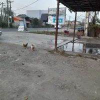 یک نفر خانم خدمه با جای خواب و خوراک وحقوق مزایای