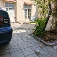 همخانه خانم