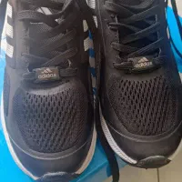 کفش اسپرت ورزشی آدی داس|کیف، کفش، کمربند|شیراز, دکتر حسابی|دیوار