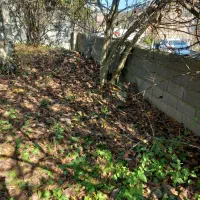 زمین روستائی