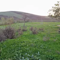 فروش خانه ویلایی نقدی،معاوضه با خودرو،زمین و غیره