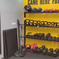 استند دمبل