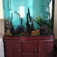 آکواریوم وارداتی مارک مینجیانگ شیشه خم 10 میل سوپر