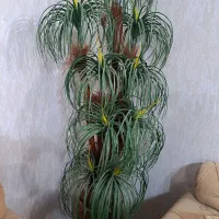 درختچه مصنوعی نخل