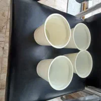 ظرف یک بار مصرف