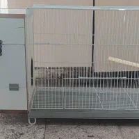 قفس بزرگ