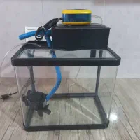 اکواریوم شیشه خم