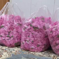 گل محمدی درجه یک گره بان کیلویی 220 هزار تومان