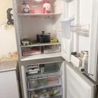 یخچال|یخچال و فریزر|سنندج, |دیوار