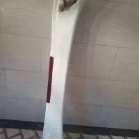 بال عقب ساینا