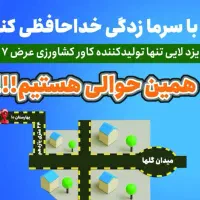 سیب زمینی یخبندانy سرما فومکاورگوجهکشاور