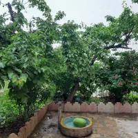 اجاره ی ویلا و سوییت در روستای کنگ در شب یلدا|اجارهٔ کوتاهمدت ویلا و باغ|طرقبه, |دیوار