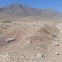 بنای سفت کار متعهد مجرب کاربلد