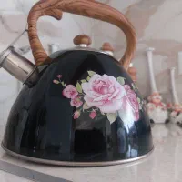 کتری استیل ترک|قوری، کتری، قهوه‌ساز دستی|قزوین, |دیوار