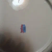 بشقاب عتیقه توافقی|کلکسیون اشیاء عتیقه|کرج, شهرک دریا|دیوار