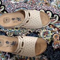 دمپایی کفشی