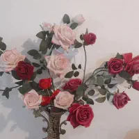 شاخه گل