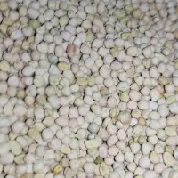 نخود ریز بش|خوردنی و آشامیدنی|شیراز, لاله|دیوار