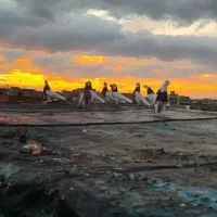 کبوتر طوقی و باشلی