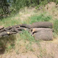 خرید چوپ و هرس باغ