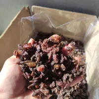 گله آفتابی کاشمر با ضمانت جواب دهی مخصوص آبگیری|خوردنی و آشامیدنی|مشهد, عبادی|دیوار