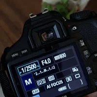 عکاسی در لوکیشن