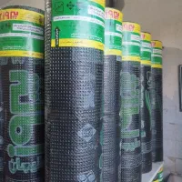 ایزوگام غلامی