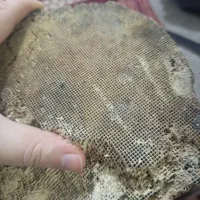 خاک کاتالیزور ماشین سنگین|قطعات یدکی و لوازم جانبی|اندیشه, اندیشه فاز ۳|دیوار