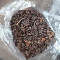 مویز بش دشمن زیاری|خوردنی و آشامیدنی|شیراز, تحویلی|دیوار