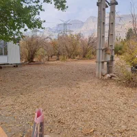 اجاره بلند مدت  یکساله باغ ده ساله مثمر