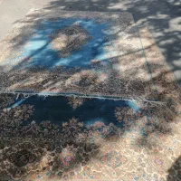 فرش دست بافت|فرش|کرمان, |دیوار