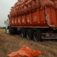 کاه|لوازم جانبی حیوانات|شوشتر, |دیوار